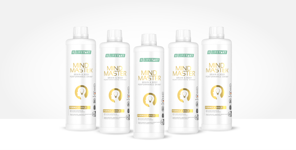Logo Mind Master